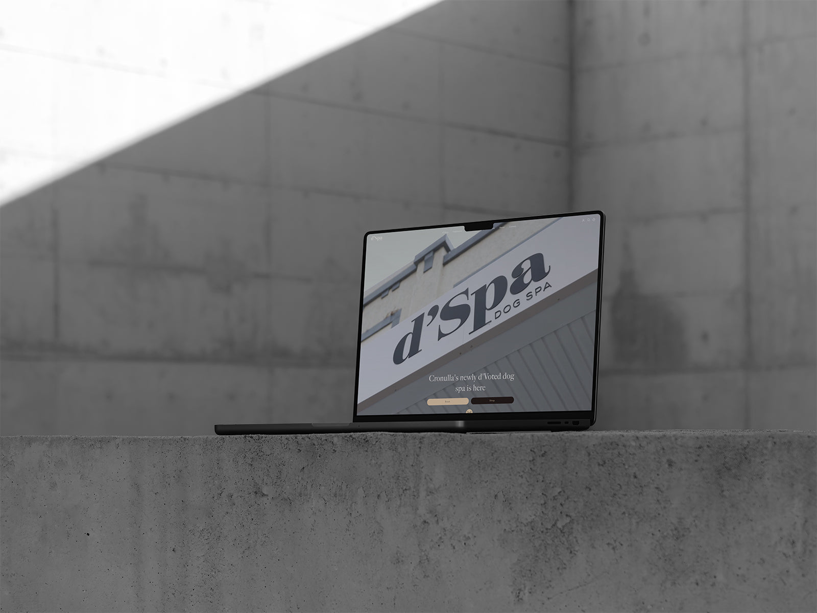 6 - Plus Shopify Build Package