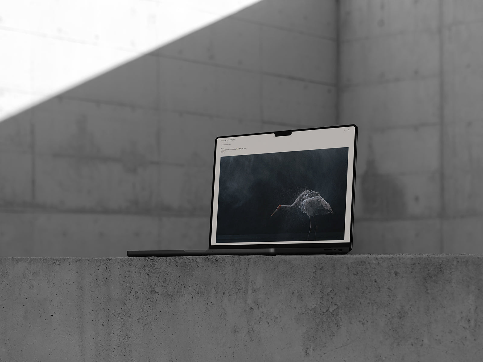 5 - Pro Shopify Build Package