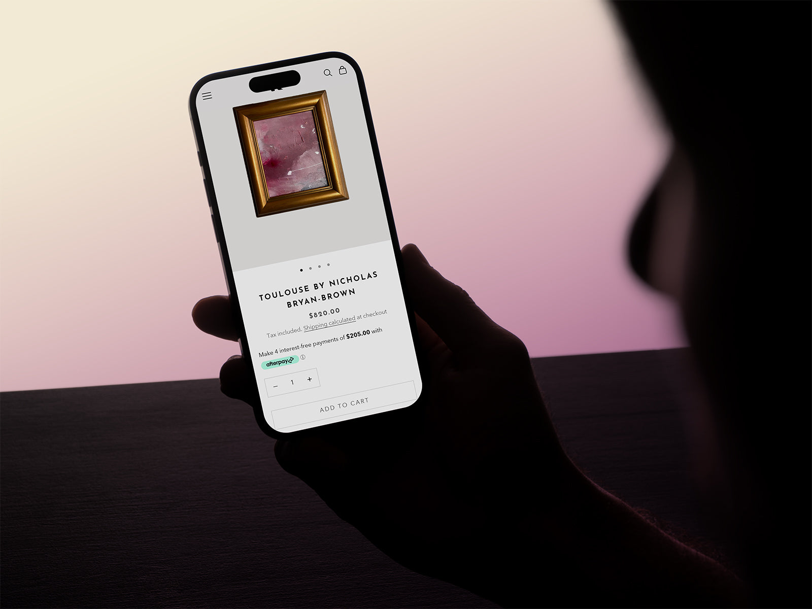 6 - Plus Shopify Build Package