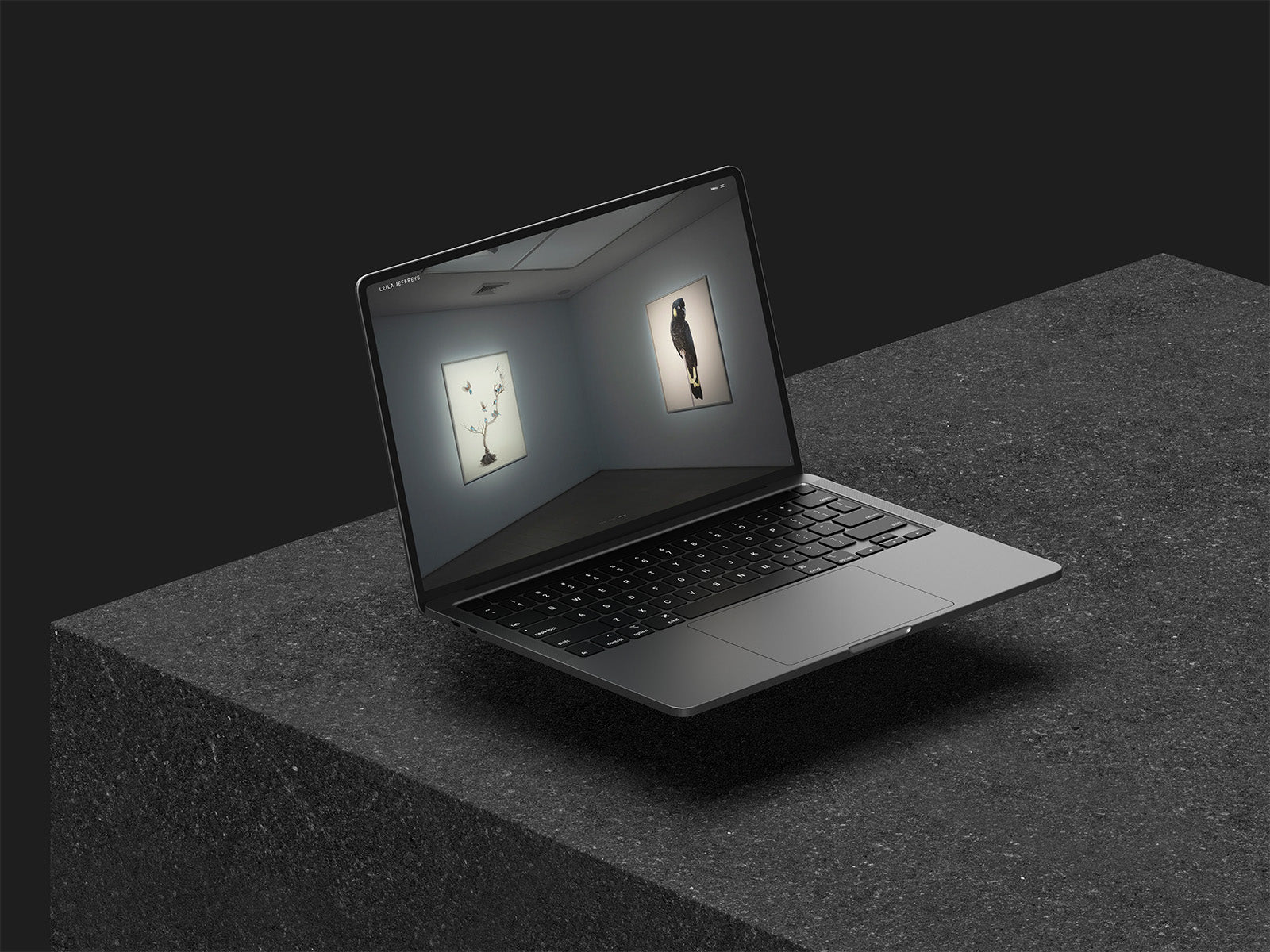 5 - Pro Shopify Build Package