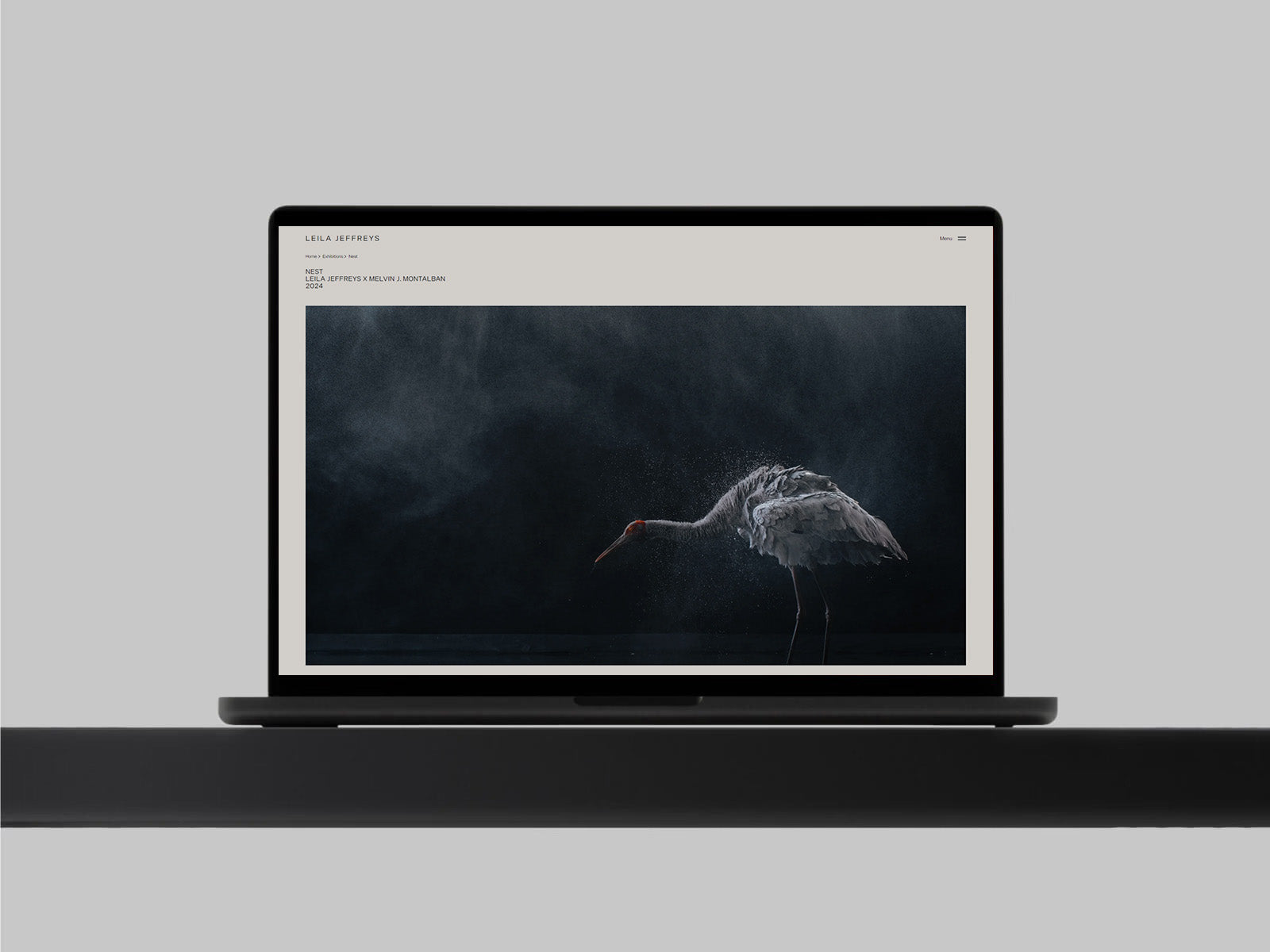 5 - Pro Shopify Build Package